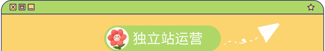 跨境钱来也独立站运营集合背景图2